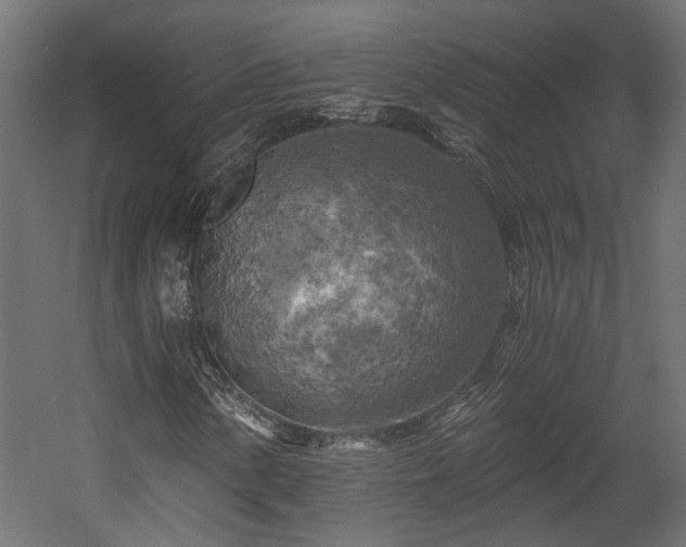 X0000058801154200510031312