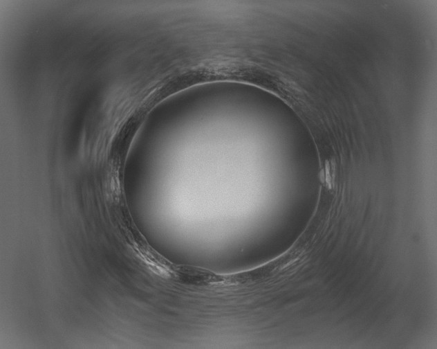 X0000058801155200510031312