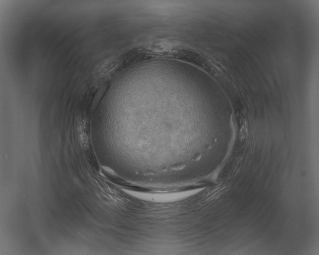 X0000058801156200510031312