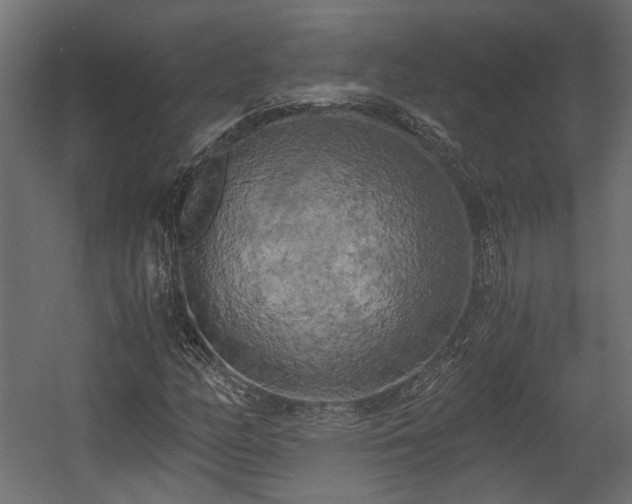 X0000058801158200510031312