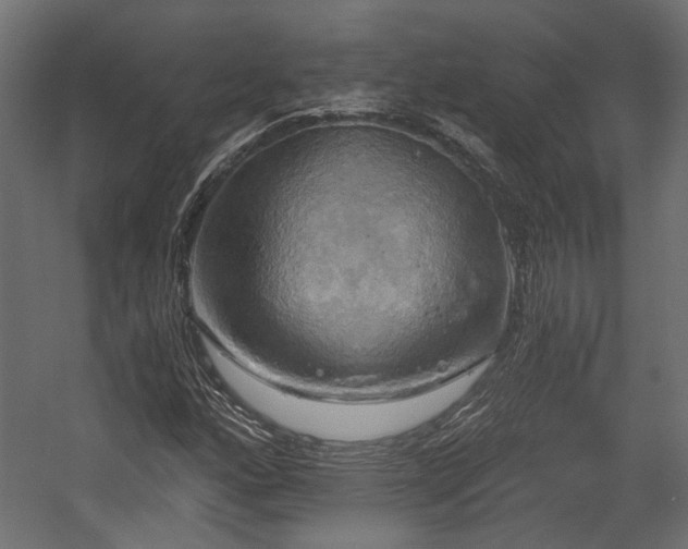 X0000058801160200510031312