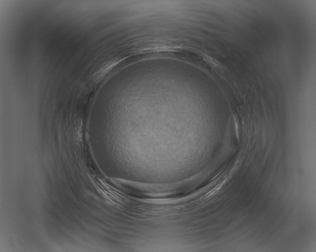 X0000058801161200510031312