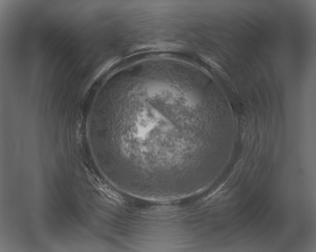 X0000058801163200510031312