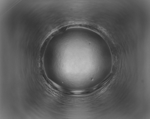X0000058801165200510031312