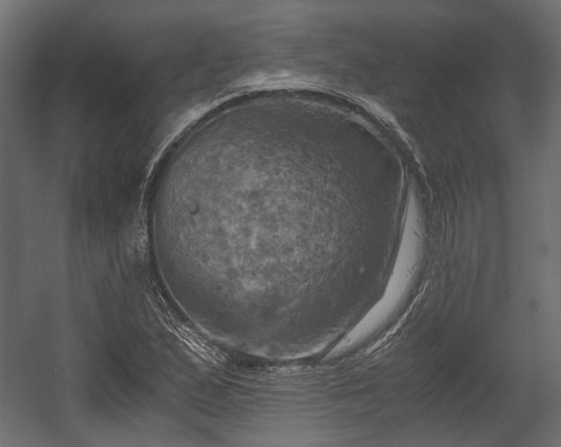 X0000058801167200510031312