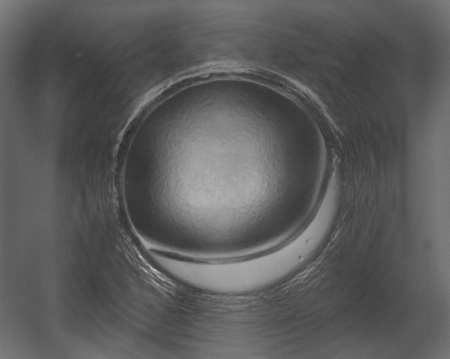 X0000058801168200510031312