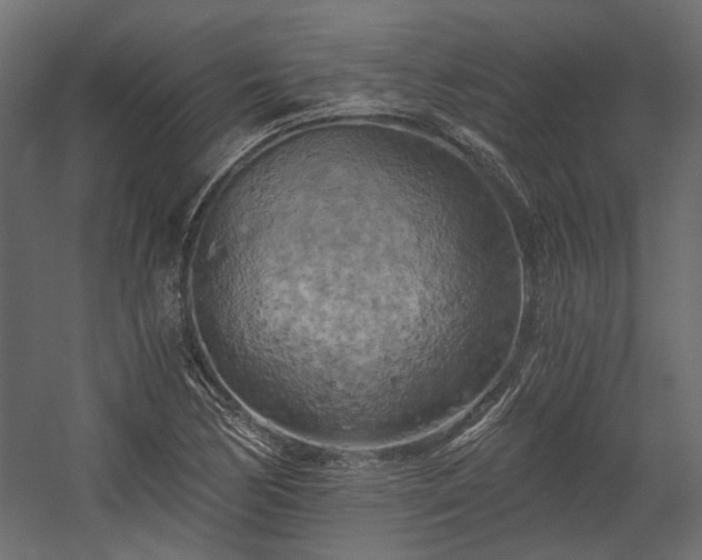 X0000058801170200510031312