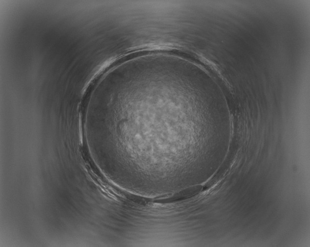 X0000058801171200510031312