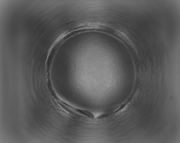 X0000058801172200510031312