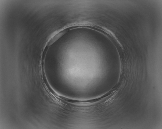 X0000058801176200510031312