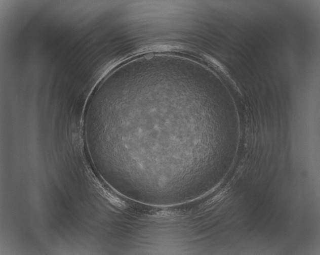 X0000058801178200510031312