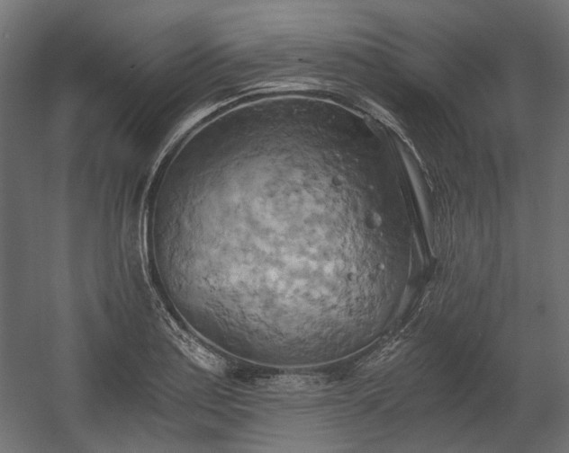 X0000058801179200510031312