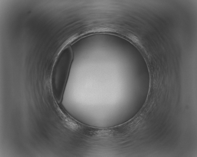 X0000058801181200510031312