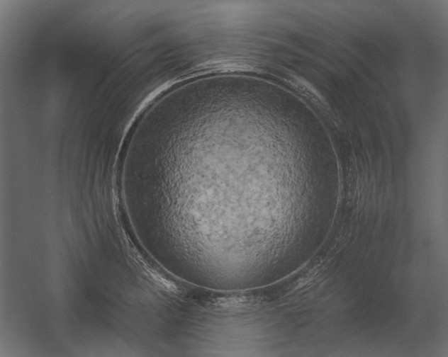 X0000058801182200510031312