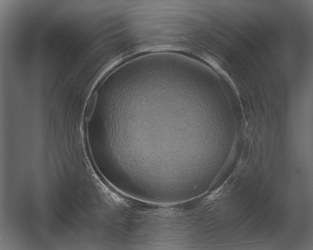 X0000058801189200510031312