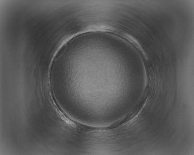 X0000058801192200510031312