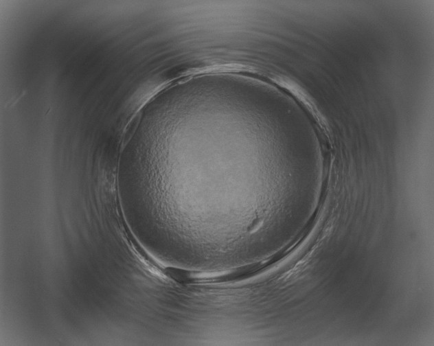 X0000058801193200510031312