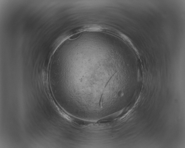 X0000058801194200510031312