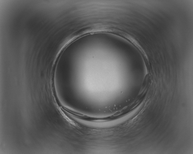 X0000058801197200510031312