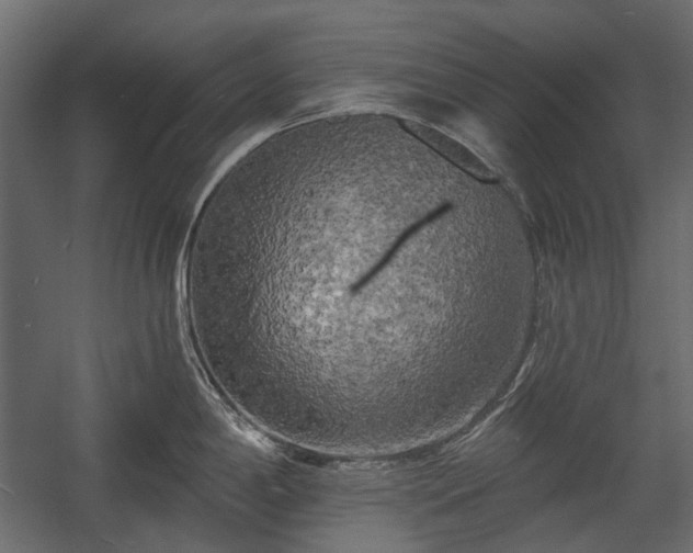 X0000058801198200510031312