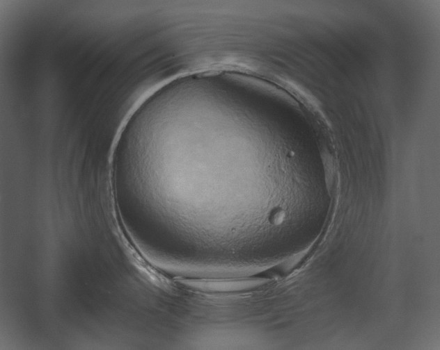 X0000058801200200510031311