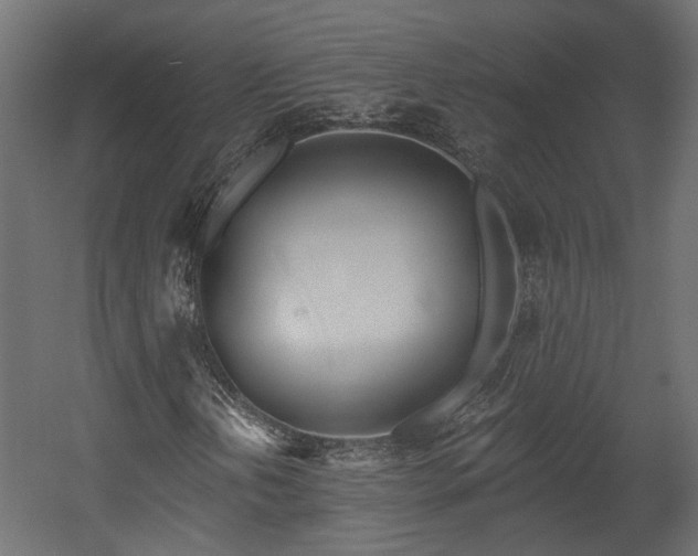 X0000058801202200510031311