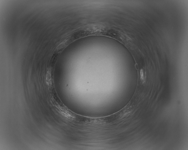 X0000058801203200510031311