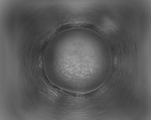 X0000058801204200510031311