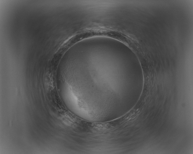 X0000058801205200510031311