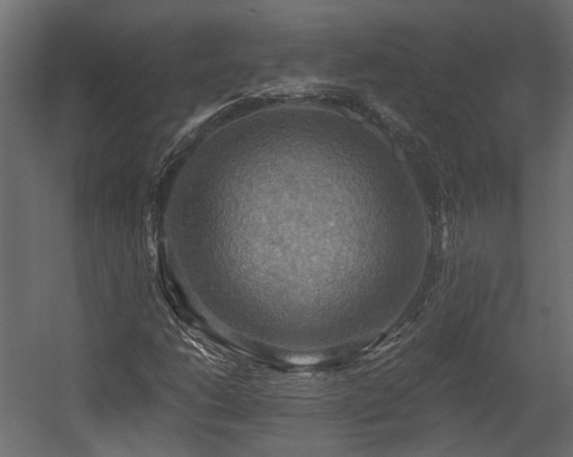 X0000058801206200510031311