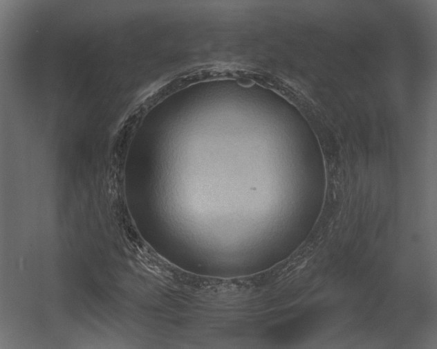 X0000058801207200510031311