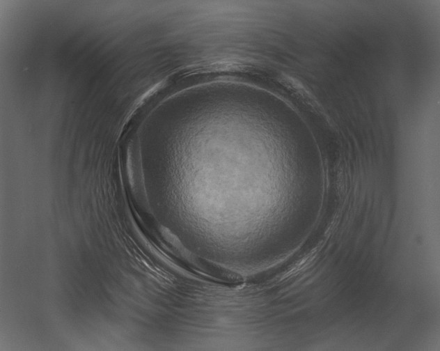 X0000058801210200510031311