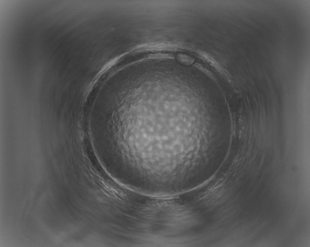 X0000058801213200510031311