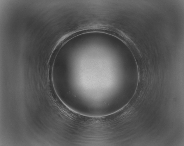 X0000058801222200510031311