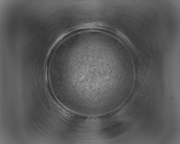 X0000058801224200510031311