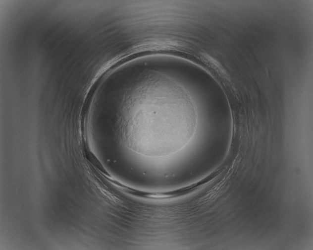 X0000058801226200510031311