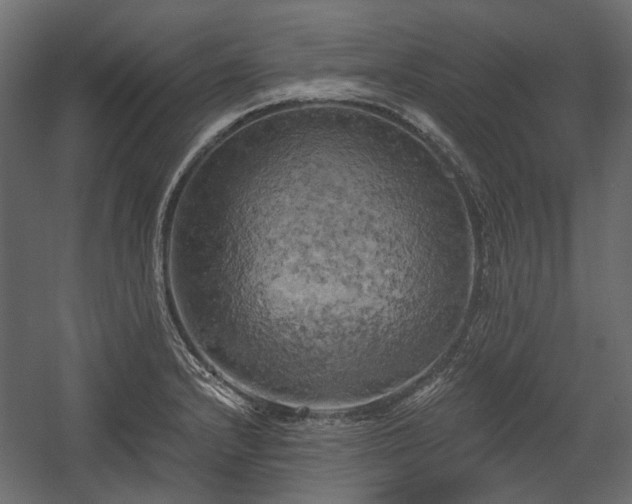 X0000058801232200510031311