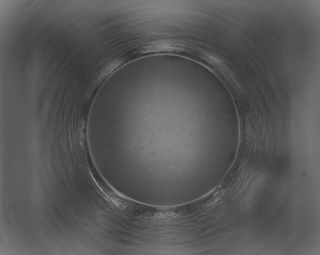 X0000058801233200510031311