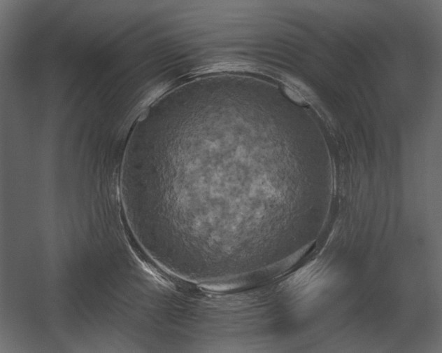 X0000058801241200510031311
