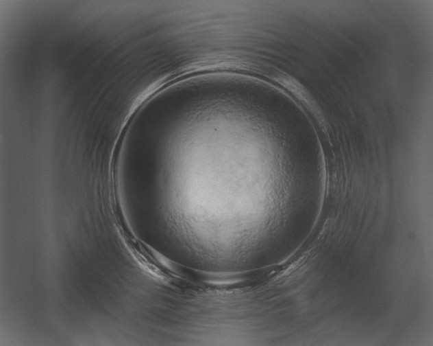 X0000058801242200510031311
