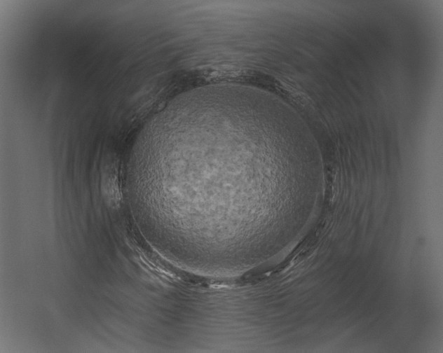X0000058801250200510031311