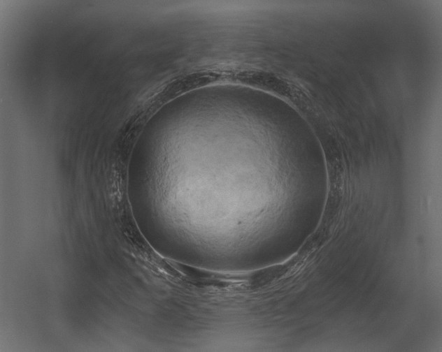 X0000058801253200510031311