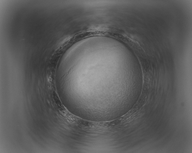 X0000058801254200510031311