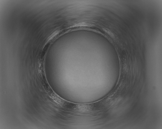 X0000058801258200510031310