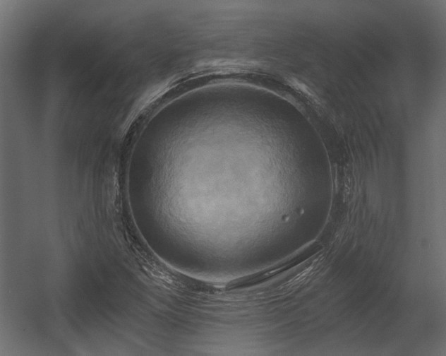 X0000058801261200510031310