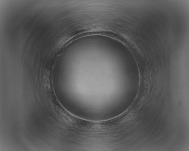 X0000058801265200510031310