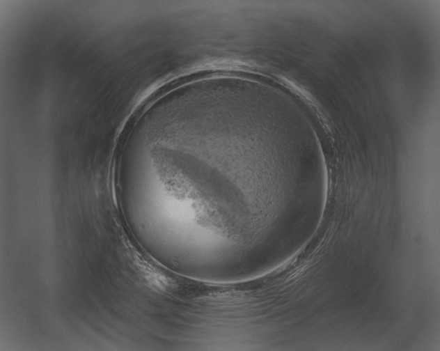 X0000058801272200510031310