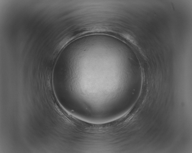 X0000058801273200510031310