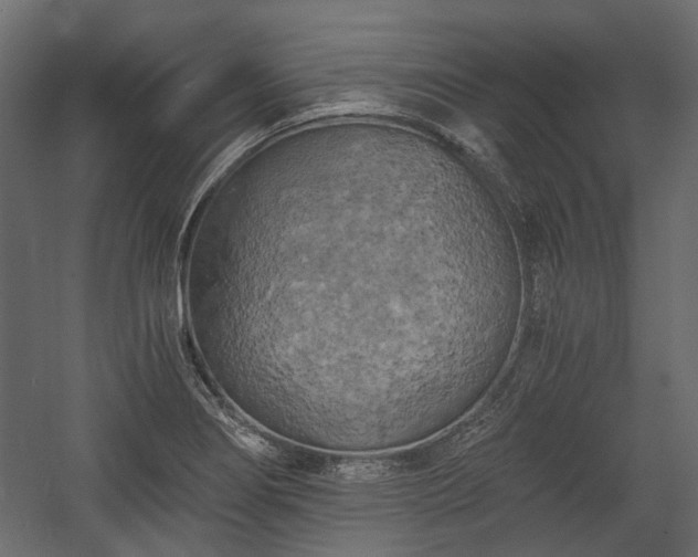X0000058801274200510031310