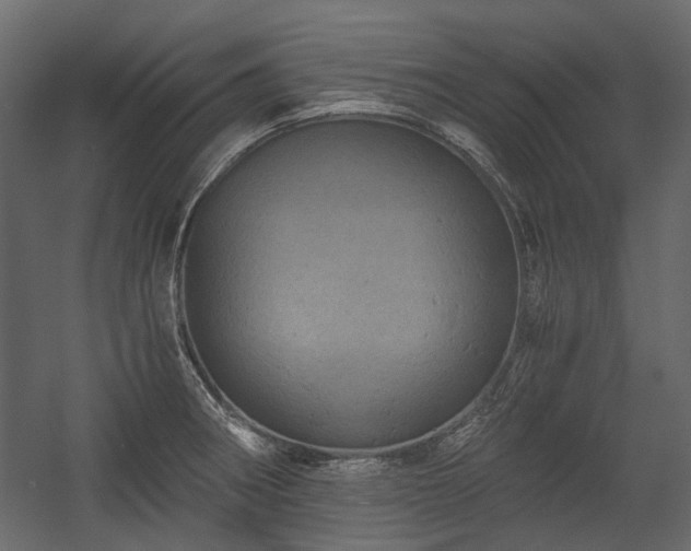X0000058801282200510031310